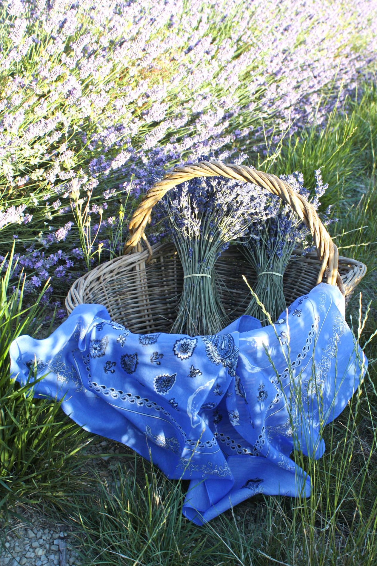 Le Bandana de Soie Le Gardian Bleu